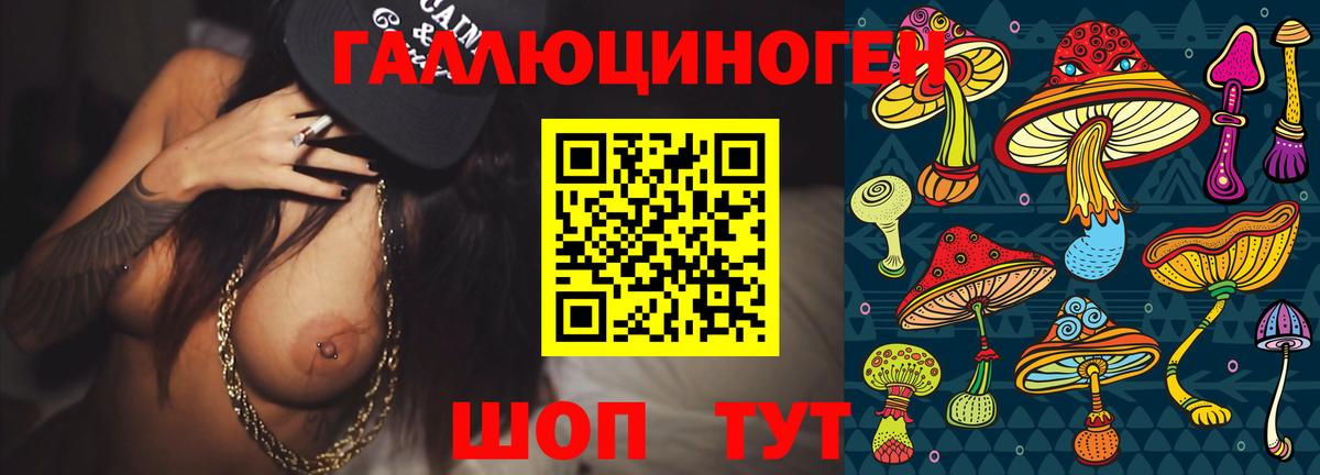 Новосибирск  Псилоцибиновые грибы прущие грибы  Галлюциногенные грибы Psilocybe  Вход с VPN 