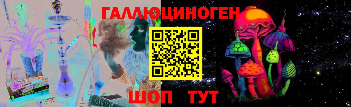 Галлюциногенные грибы прущие грибы Новосибирск